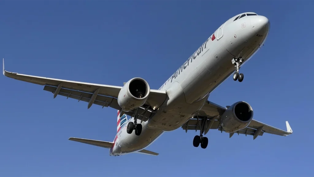 Don’t impose border security burden on airlines, IATA warns Nigeria, others