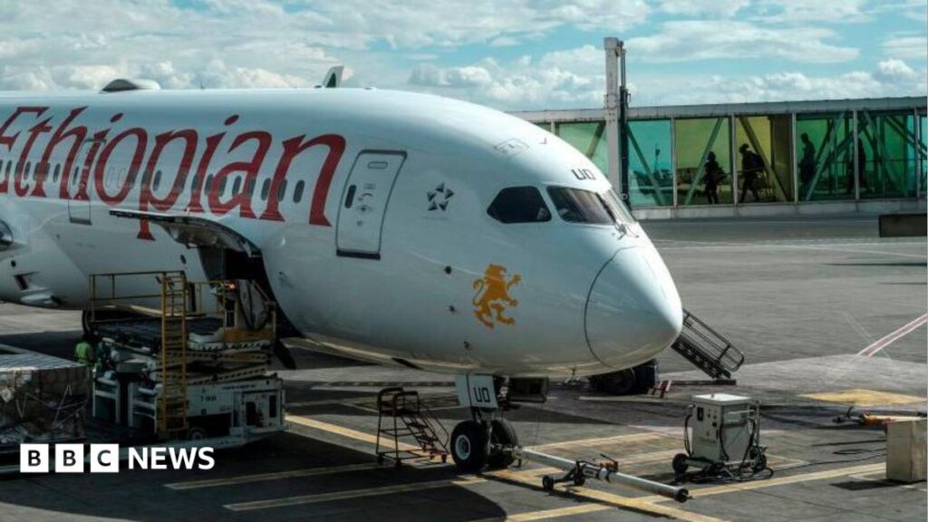 Ethiopian Airlines cancels flights to Tigray as fears mount of renewed conflict Ethiopian Airlines cancels flights to Tigray as fears mount of renewed conflict